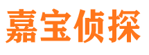 嘉黎市侦探调查公司